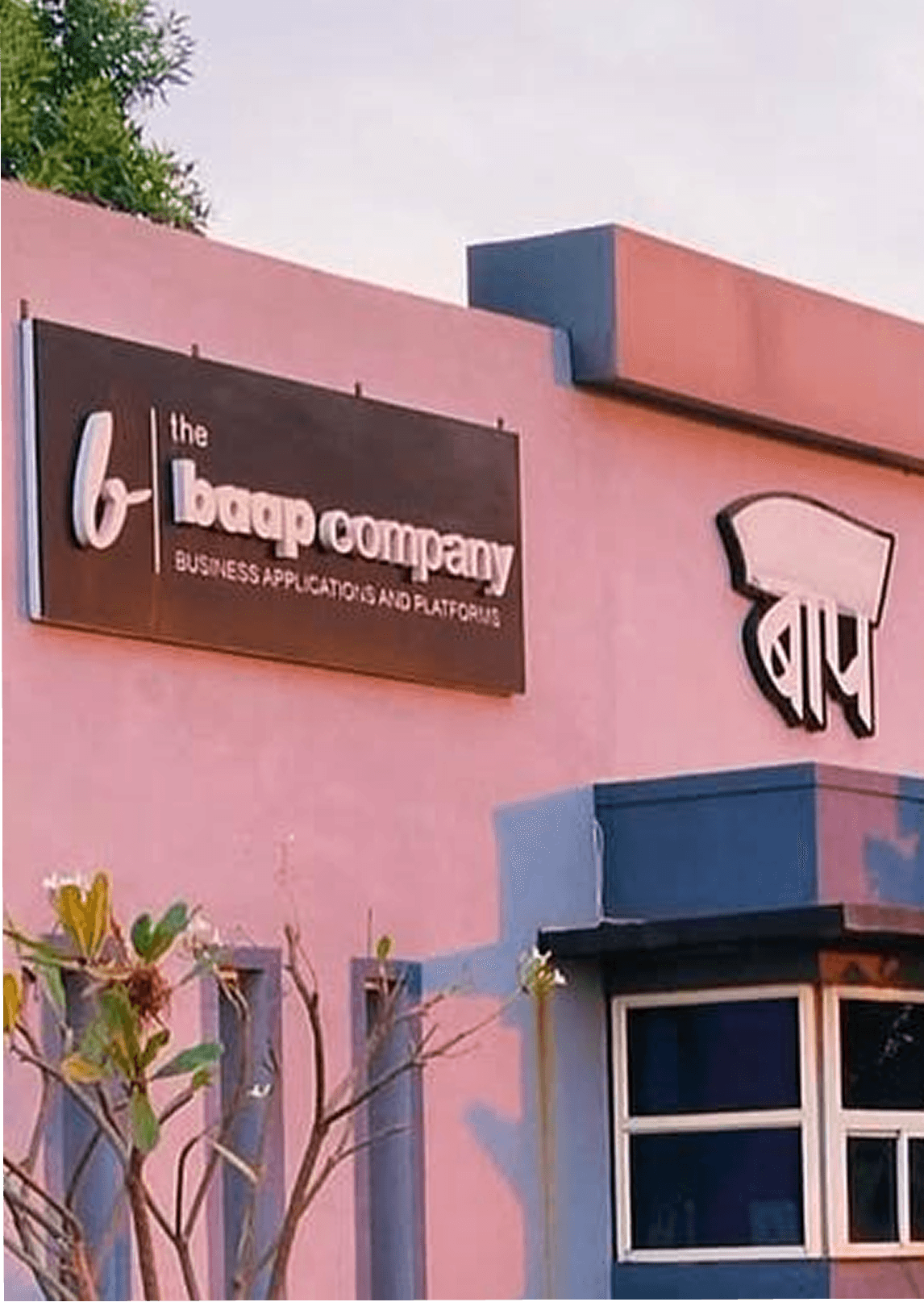 BAAP Company 