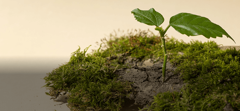 Celebrations & Get-Togethers