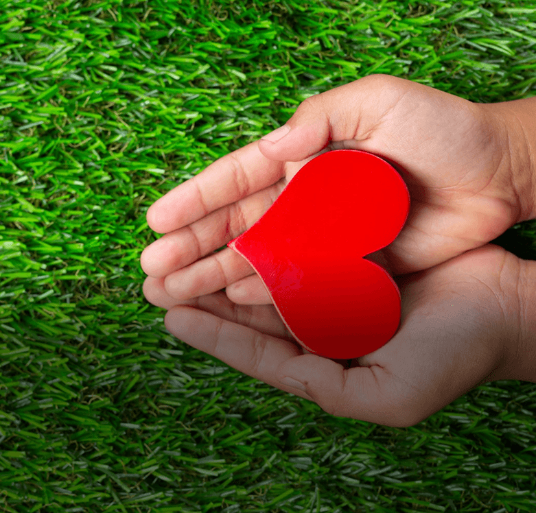 Pre-Wedding Shoots & Romantic Escapes